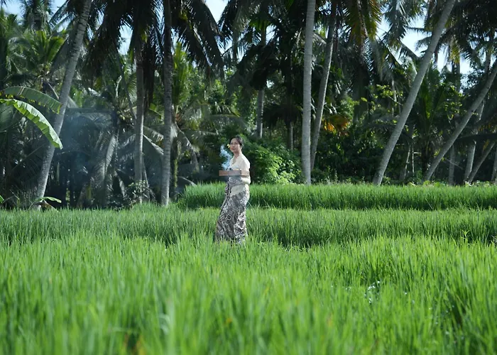 Jepun At Sawah Indah Ubud