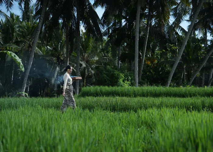 Villa Jepun At Sawah Indah *