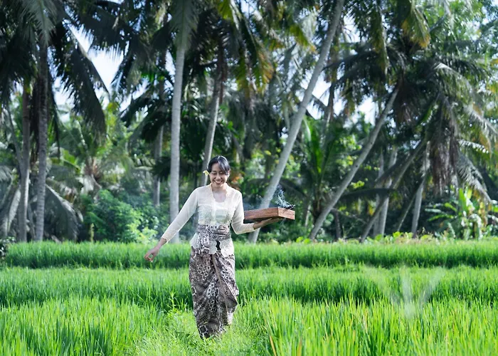 Jepun At Sawah Indah *