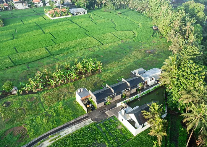 Jepun At Sawah Indah Villa Ubud