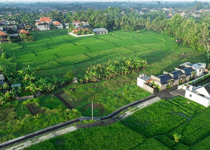 Jepun At Sawah Indah *